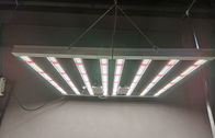 600w Indoor LED Grow Light Lampu Tumbuh Tanaman Dalam Ruangan AC85 - Tegangan Input 265V