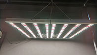 SMD 2835 Indoor LED Grow Light / Led Lampu Taman Indoor IP65 Lightwieght