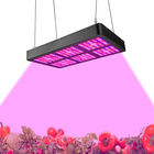 Konsumsi Daya Rendah Indoor LED Grow Light Spektrum Penuh Pertumbuhan Cahaya 400W - 800w