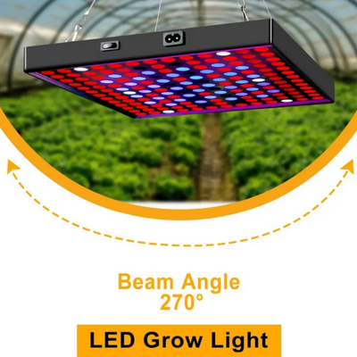 LED Full Spectrum Plant Grow Light 50w 80W Cahaya Merah Biru untuk Rumah Hijau