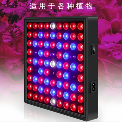 LED Full Spectrum Plant Grow Light 50w 80W Cahaya Merah Biru untuk Rumah Hijau