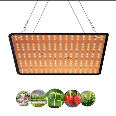 Model Ekonomi Lampu Pertumbuhan Tanaman Spektrum Penuh Merah Biru Cahaya untuk Pencahayaan Rumah Kaca