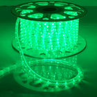 Lampu Tali LED Tahan Air dengan Versi RGB Warna Cahaya Berbeda dapat ditawarkan