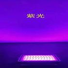 High Lumen Water Proof Solar LED Floodlight 50w hingga 300w dengan Warna Cahaya yang berbeda